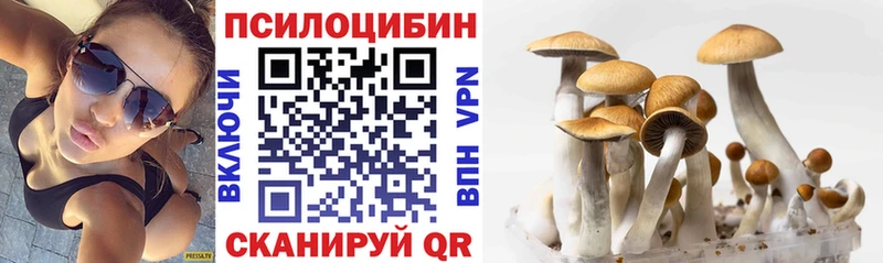 Псилоцибиновые грибы мухоморы Карачев
