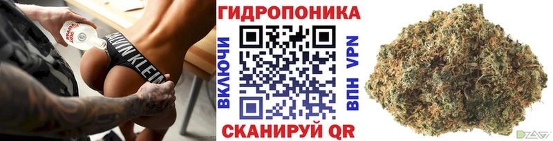 Шишки марихуана планчик  Карачев 